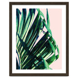 Palm V2 thumbnail