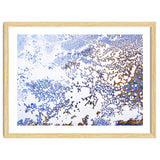 Coral Blooming thumbnail