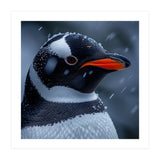 Close Up Penguin Portrait In Snowy Weather (Print Only) thumbnail