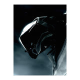 Halo (Print Only) thumbnail