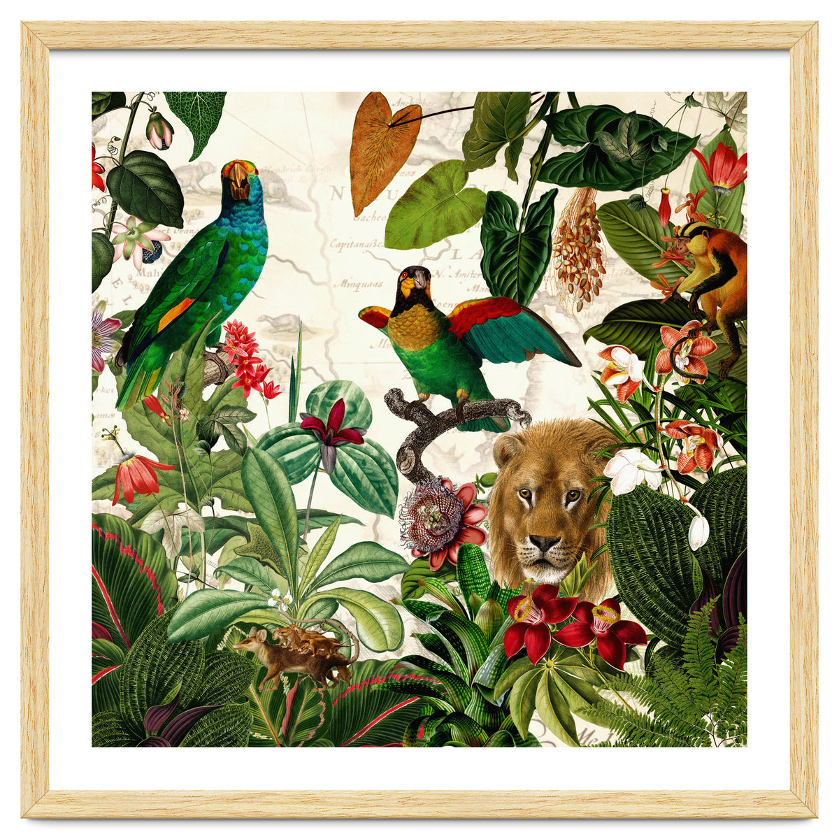 Exotic Lush Jungle And Wild Animals Landscape