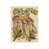 Splootingcolor (Print Only)