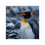 King Penguin Standing In Snowfall Outdoors (Print Only) thumbnail