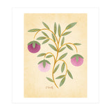 Vintage Fruits (Print Only) thumbnail