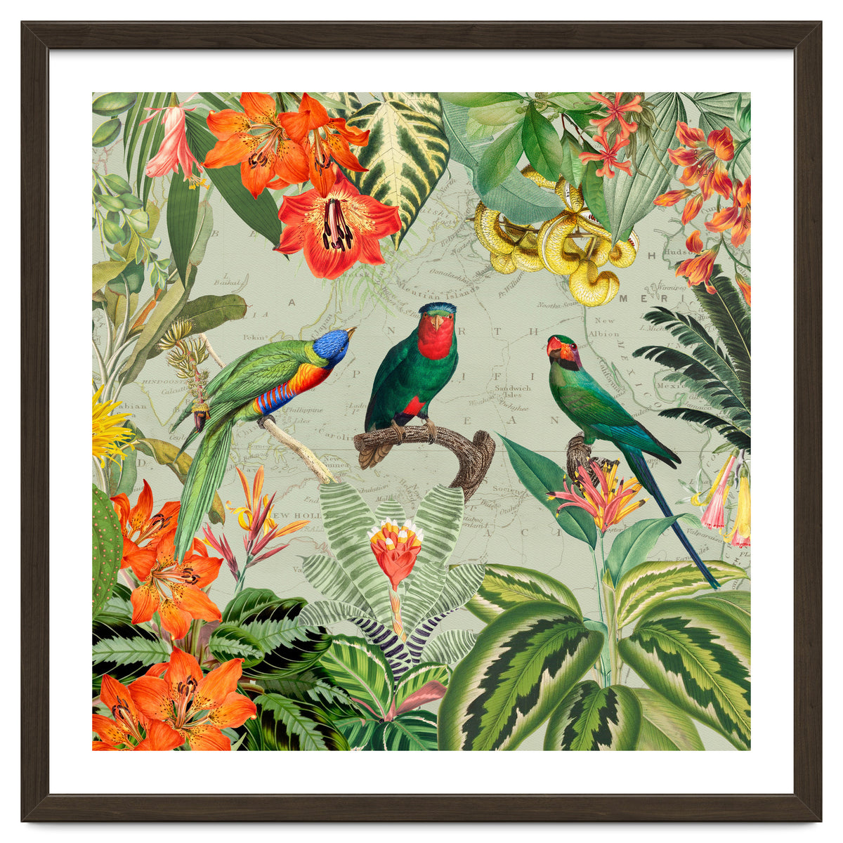 Exotic Parrots Jungle Landscape