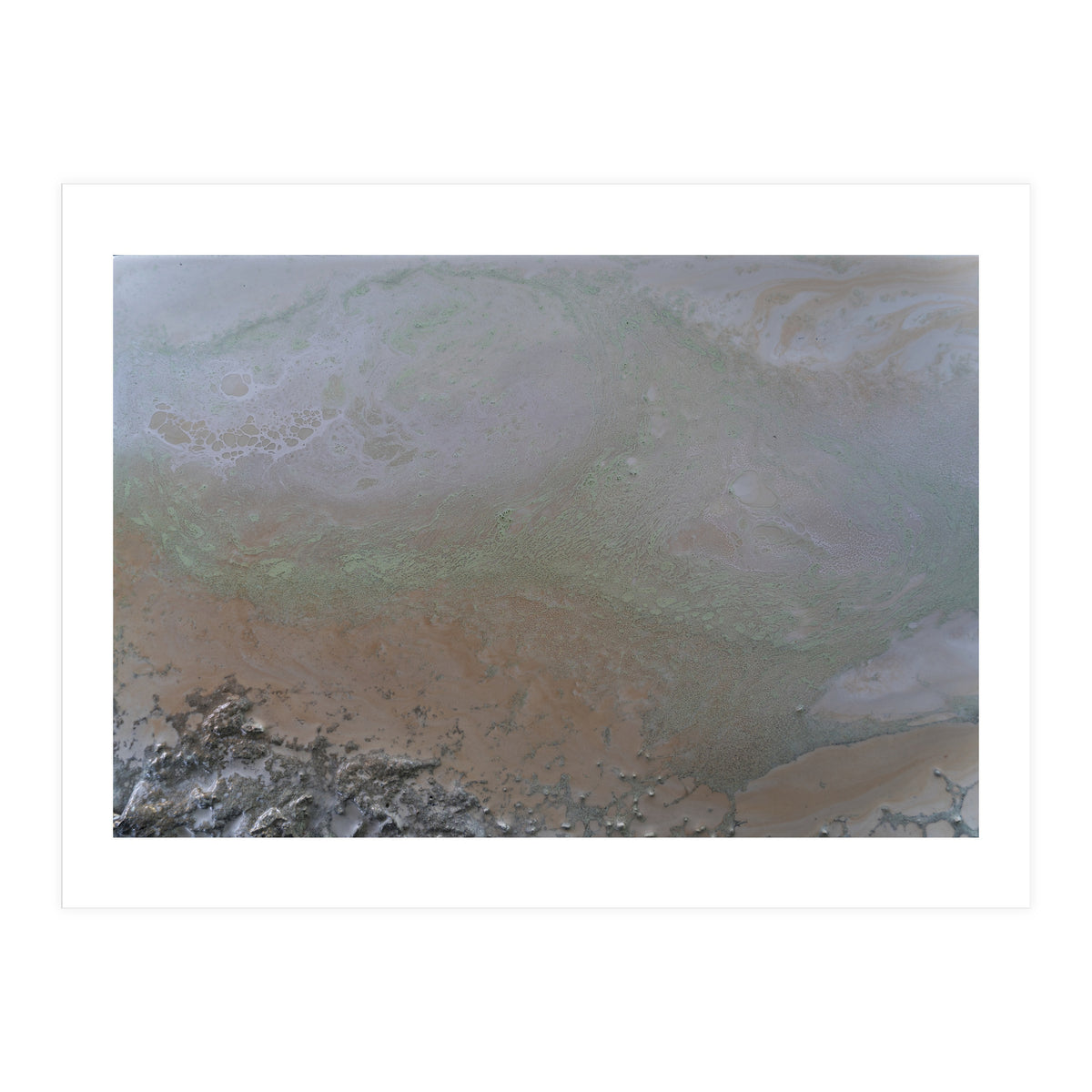 Illuminated (Print Only)