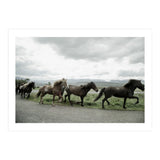 Running horses - Iceland (Print Only) thumbnail