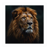 Majestic Lion Portrait In Gentle Rain (Print Only) thumbnail
