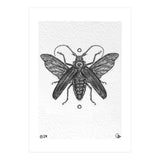 Riesen Longhorn Käfer (Print Only) thumbnail