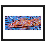 Little fish thumbnail