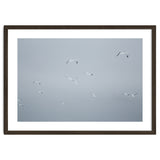 Flying seagulls in the winter sky thumbnail