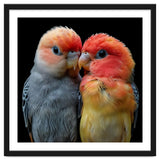 Two Lovebirds Nuzzle Together thumbnail