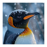 King Penguin Close Up In Snowy Environment (Print Only) thumbnail