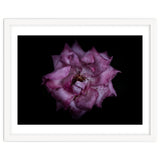 Backyard Flowers No 111 Color Version thumbnail