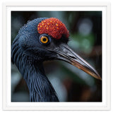 Black Crane Bird Head With Red Crown And Raindrops thumbnail