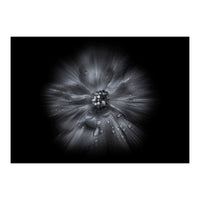 Backyard Flowers In Black And White No 66 Flow Version (Print Only)