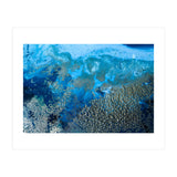 Revitalize (Print Only) thumbnail