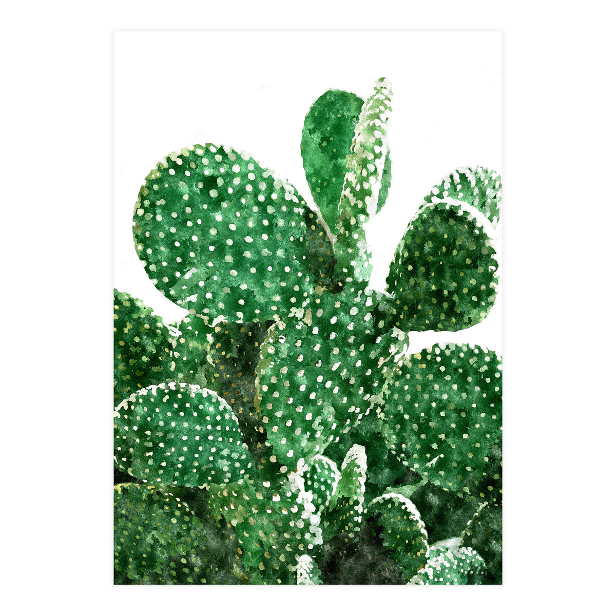 Velvet Cactus | Watercolor Botanical Plants | Minimal Boho Scandinavian Painting (Print Only)