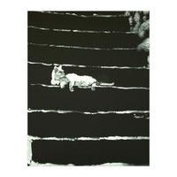 Cat On Stairs (Print Only)