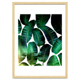 Cosmic Banana Leaves thumbnail