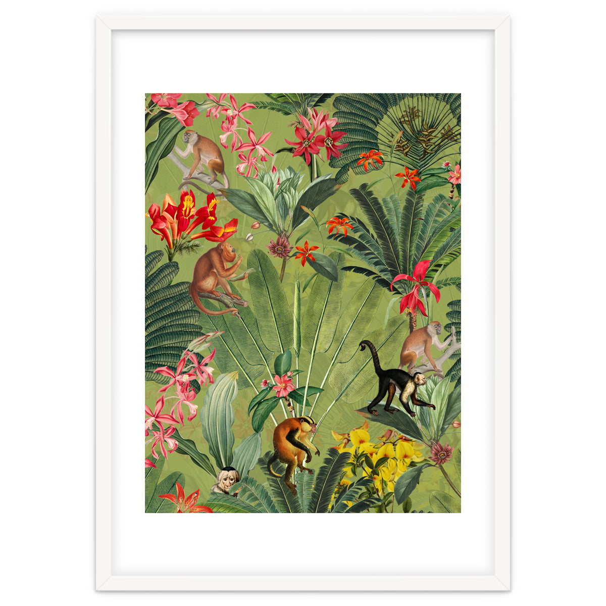 Monkeys In Tropical Jungle Paradise