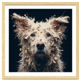 Old Dog 06 thumbnail