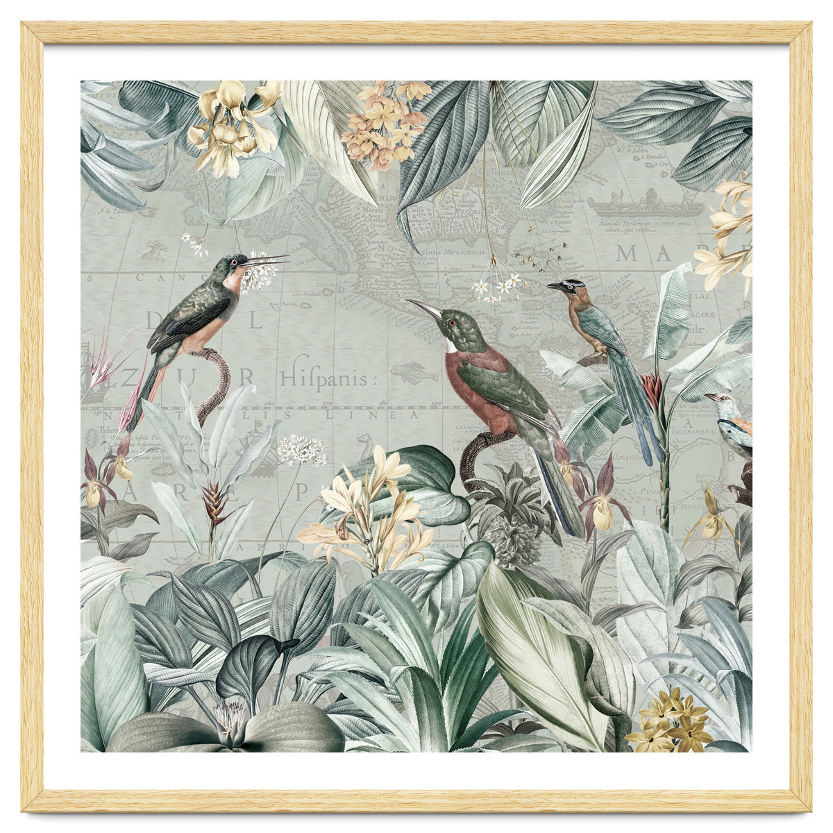 Vintage Exotic Birds Paradise Jungle