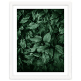 New Foliage Green Ii thumbnail