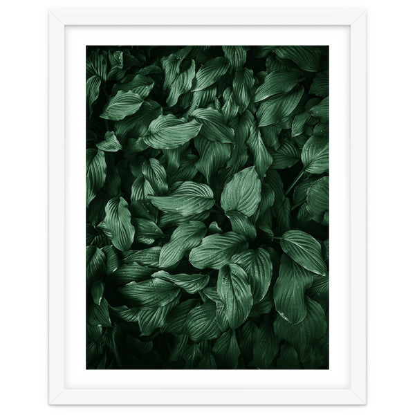 New Foliage Green Ii
