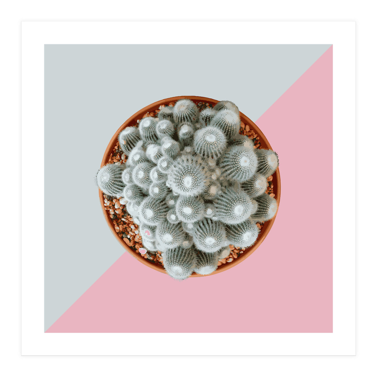 Clementine (Print Only)