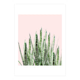 Botanical Balance (Print Only) thumbnail