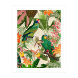 Parrots in tropical Jungle (Print Only) thumbnail