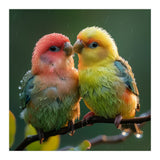 Two Lovebirds Perched On A Branch In Rain (Print Only) thumbnail