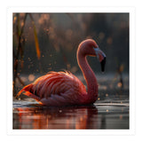 Pink Flamingo Swimming In Sunlight Water (Print Only) thumbnail