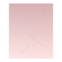 Graceful flight amidst the pink horizon (Print Only)