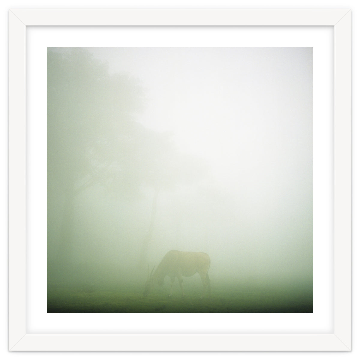 Silence of breath - 09