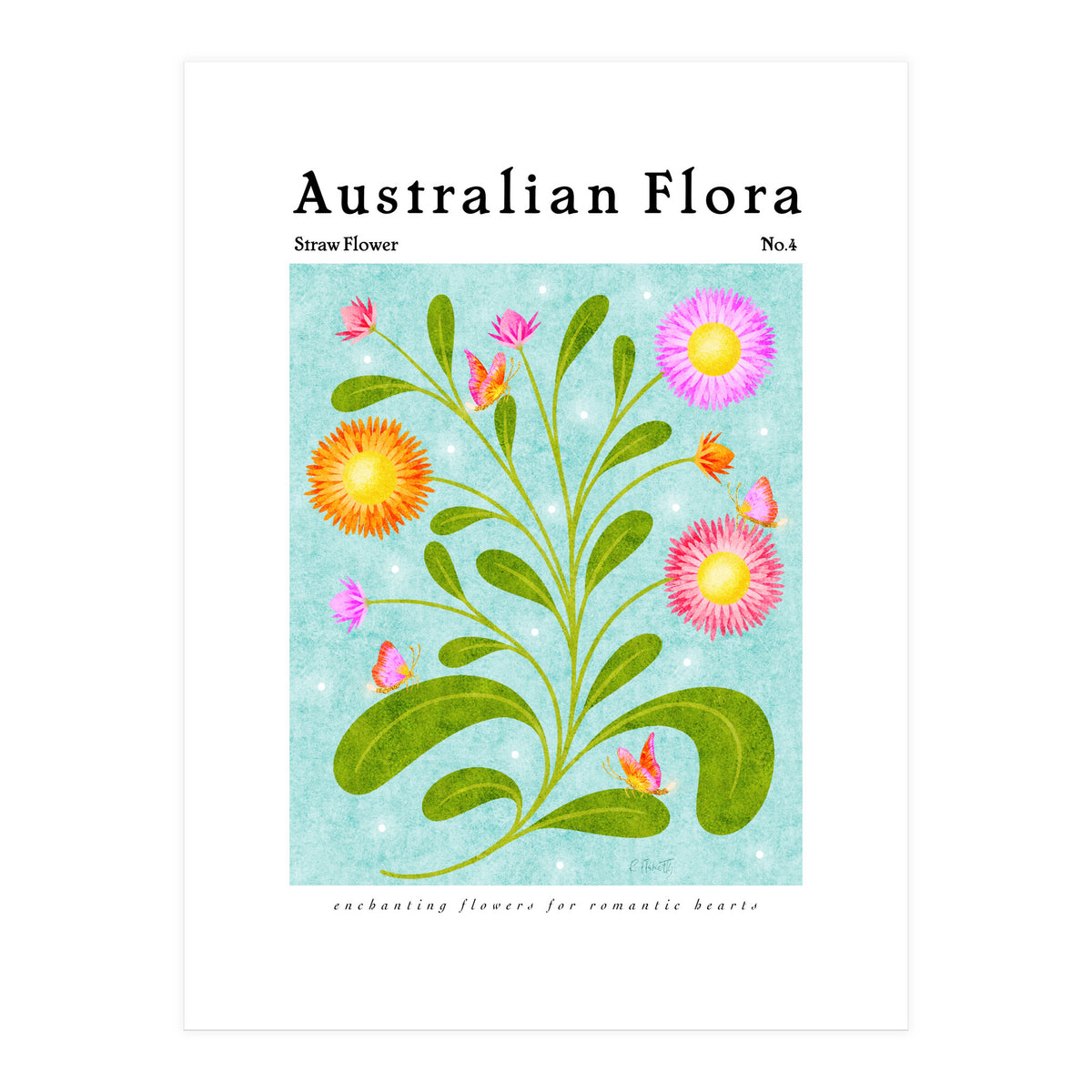 Australian Flora: Straw Flower (Print Only)