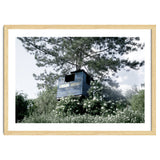 Blue hut on the tree thumbnail