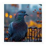 Pigeon With Water Droplets  (Print Only) thumbnail