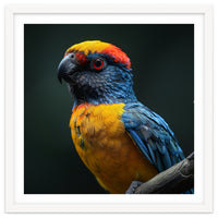 Close Up Colorful Parrot Perched On A Branch