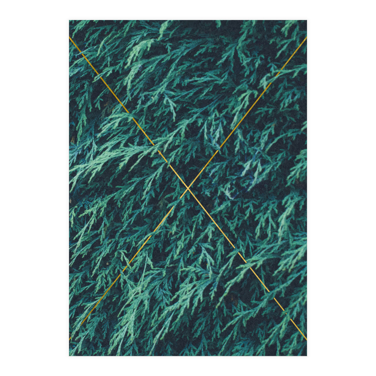 Restricted Reality (Print Only)