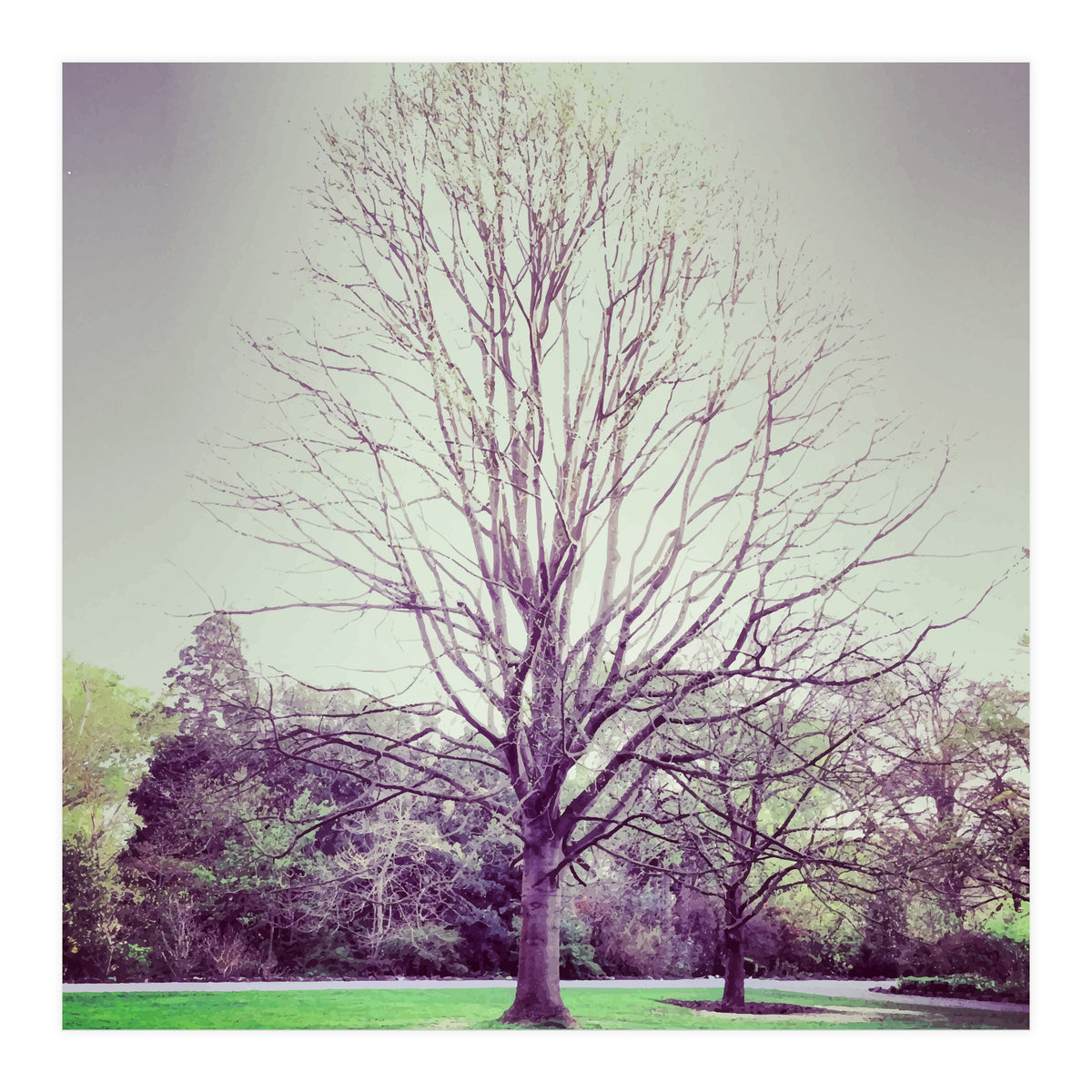 Tree Of Dreams (Print Only)