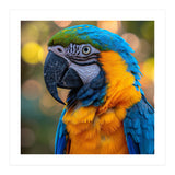 Blue And Yellow Macaw Parrot Close Up Detailed Shot (Print Only) thumbnail