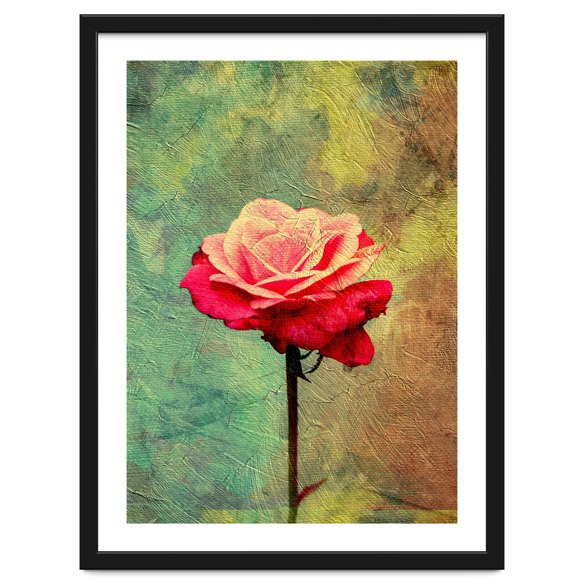 A Vibrant Red Rose