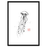 Meduse thumbnail