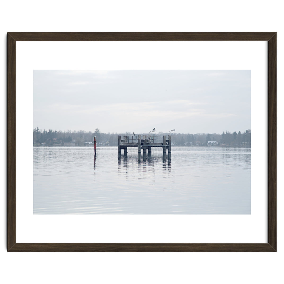 Birds rest in the Lake