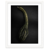Gourds No 9 Color Version thumbnail