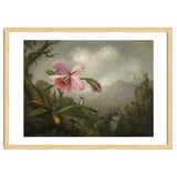 Martin Johnson Heade (Lumberville, 1819-St. Augustine, 1904). Orchid and Hummingbird near a Water... thumbnail