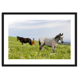 Equine Family thumbnail