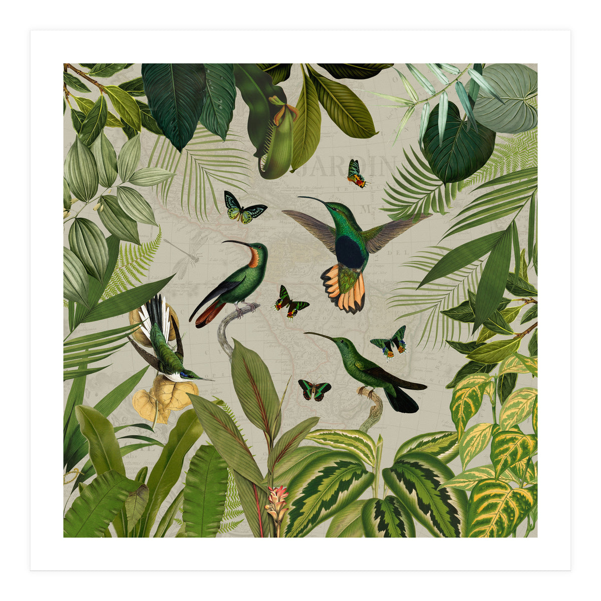 Vintage Exotic Hummingbirds Jungle (Print Only)